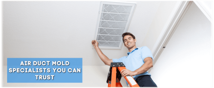 Air Duct Mold Removal in Hammond IN