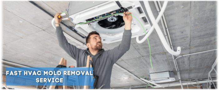 HVAC Mold Removal Hammond IN